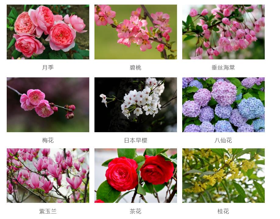 園林景觀工程如何節(jié)約成本？